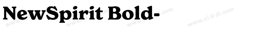 NewSpirit Bold字体转换